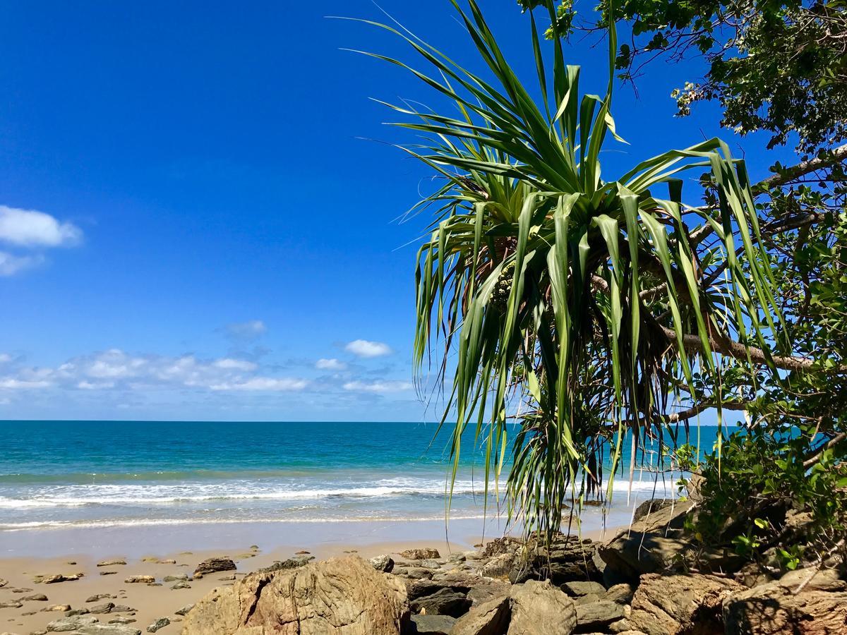 Daintree Magic Holiday House Cow Bay Екстериор снимка