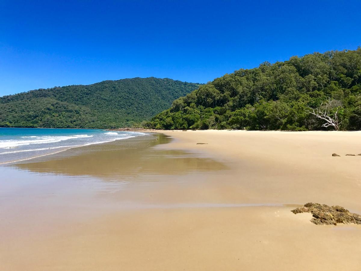 Daintree Magic Holiday House Cow Bay Екстериор снимка